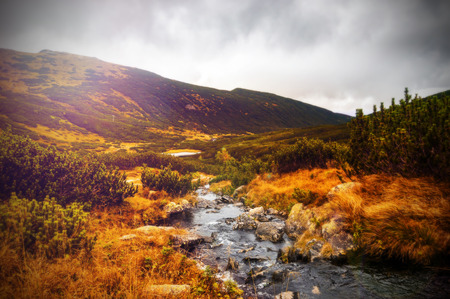 Tatra Mountains in spring time, Poland. high mountainsの写真素材