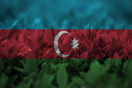 close up on leaf with blending  Azerbaijan flagの写真素材