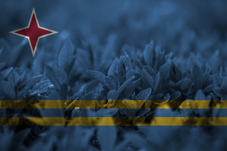 close up on leaf with blending  Aruba flagの写真素材