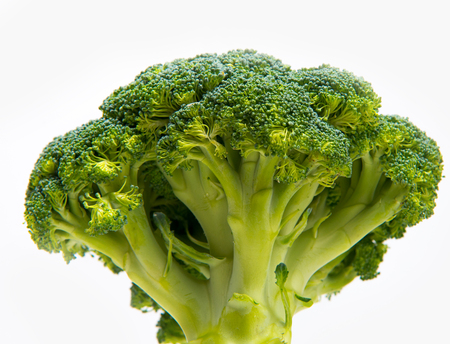 Fresh broccoli solated on a white backgroundの写真素材