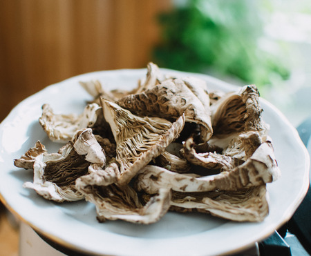 dry pieces of parasol mushroomの写真素材
