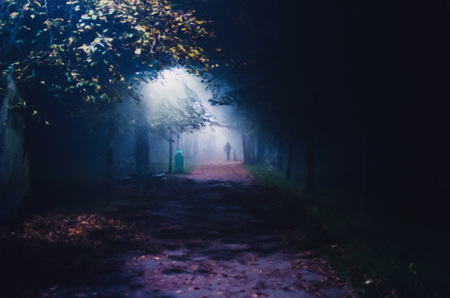 illustration of fog in the park at night, soft focus, one personの写真素材