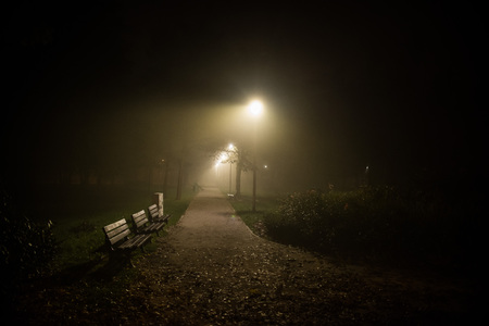 fog in the park, night, soft focus, high iso,の写真素材