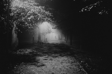 fog in the park, night, soft focus, high iso, black and whiteの写真素材
