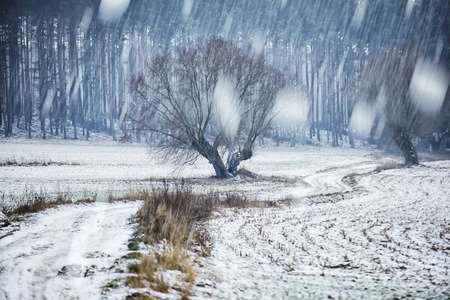 snow and ice on the field, winterの写真素材
