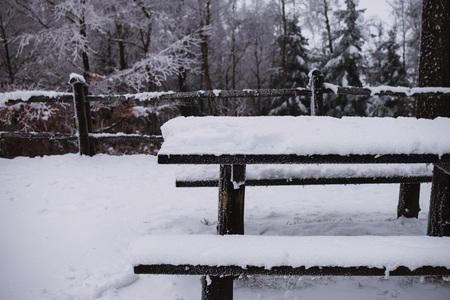 camp side in the forest, winter travel backgroundの写真素材
