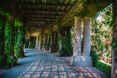 Inside the Pergola park in Wroclaw, Polandの写真素材