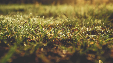 Warm autumn background with colorful bright meadow during the sunsetの写真素材