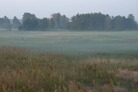 sunrise over a misty meadow in summer morningの写真素材