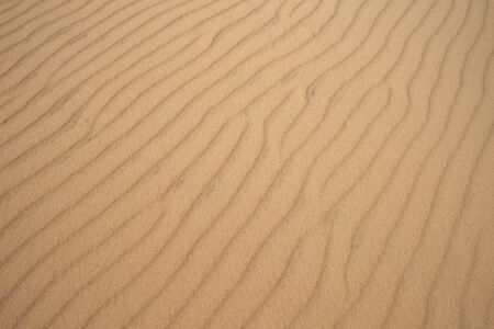 texture or background of desert dune sandの写真素材