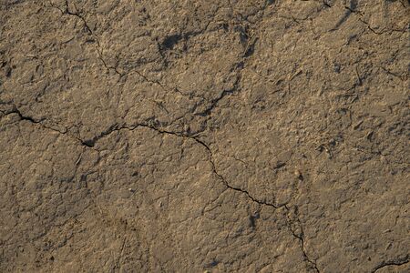 cracked earth background or textureの写真素材