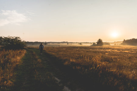 morning on meadow. sunrise landscape photo with vintage effect