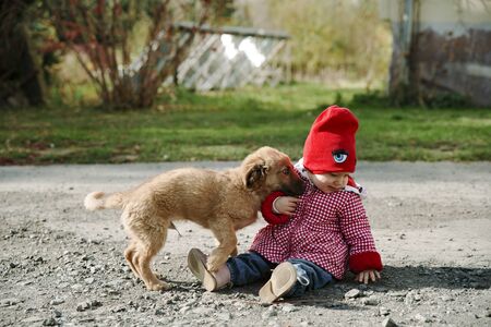 baby girl is playing with a puppyの写真素材