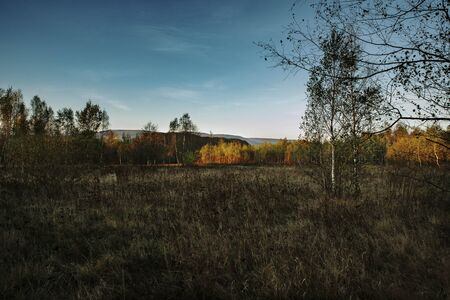 colorful trees on autumn sunrise, hills in backgroundの写真素材