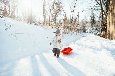 a child with a sled, winter in the forestの写真素材