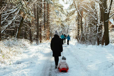 Mother with a child with a sled, winter in the forestの写真素材