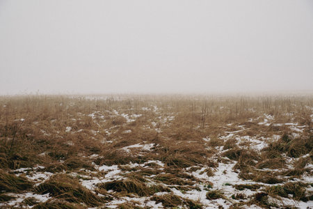 field in winter, brown meadow and mistyの写真素材