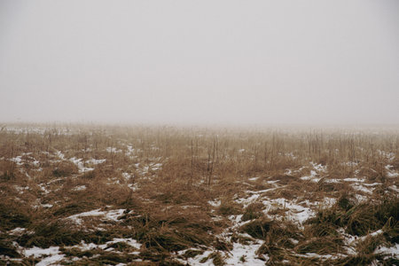 frozen lake with a forest in the background, poor visibility through the fog, vintage effectの写真素材
