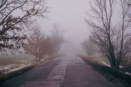 frozen lake with a forest in the background, poor visibility through the fog, vintage effect