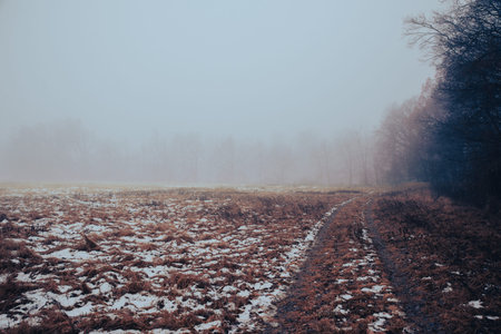 field road in winter, foggy, trees in the distanceの写真素材