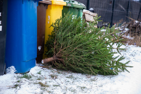 Christmas tree in the trash, waiting for the garbage truck to collect it, biodegradable wasteの写真素材