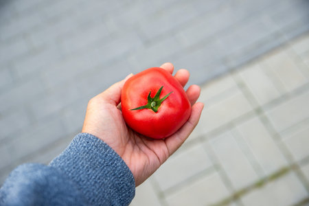 Male hand offering a rasberry Tomato. HealthConcept