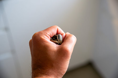 Hand of a child holding sunflower seeds