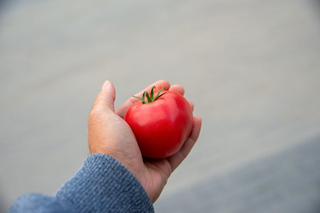 Male hand offering a red Tomato. HealthConcept