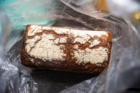 rye bread, sourdough, in a bag, straight from the bakery