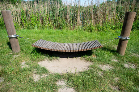 Relaxation Spot in Nature with Wooden Hammockの写真素材