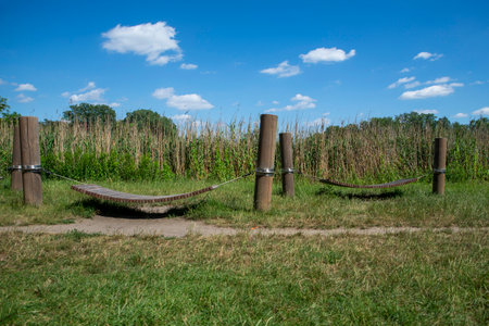 Relaxation Spot in Nature with Wooden Hammockの写真素材