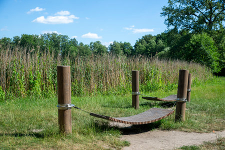 Relaxation Spot in Nature with Wooden Hammockの写真素材