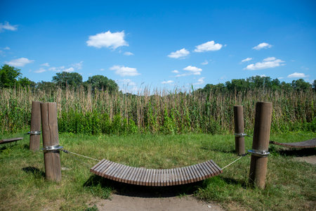 Relaxation Spot in Nature with Wooden Hammockの写真素材