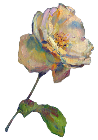 Beautiful colorful light yellow orange Rose Flower isolated on white background. oil painting illustration on canvasの写真素材