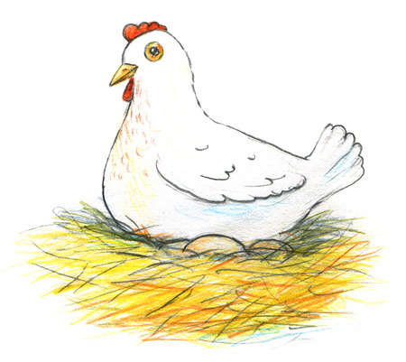 Illustration of a laying hen and her eggs on a white background isolatedの写真素材