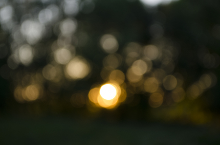 Beautiful Abstract forest sunset summer light defocused bokeh backgroundの写真素材