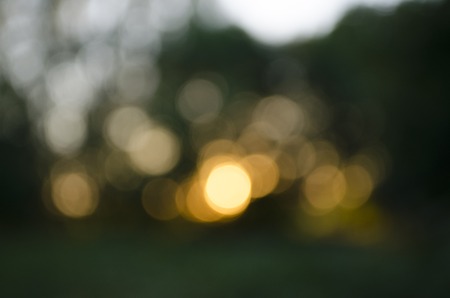 Beautiful Abstract forest sunset summer light defocused bokeh backgroundの写真素材