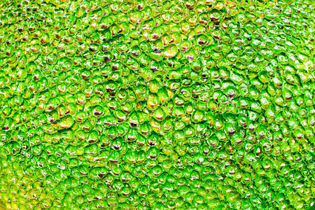 This is texture or background pattern made from clay of soil, point to spa design and home design 