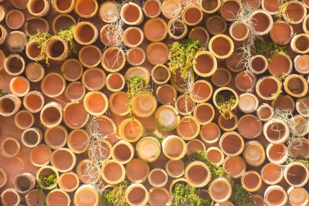 Bamboo textureの写真素材