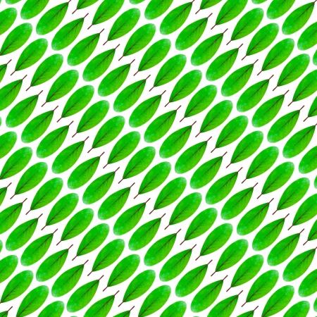 Green leaf pattern designの写真素材