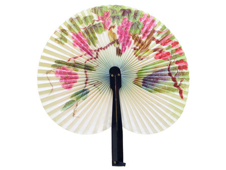 The Chinese paper fan ornamented by flowers and birds の写真素材