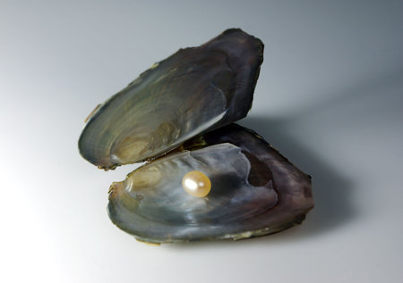 The open bowl with a pearl                 
