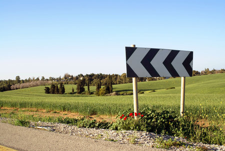 Traffic sign 