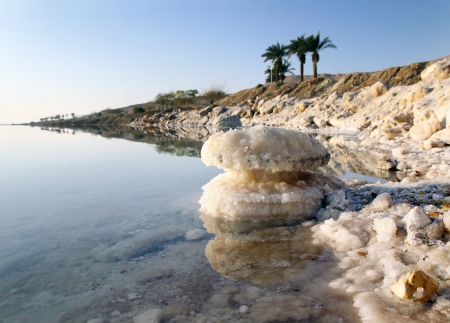 salt crystals on the wild coast of the Dead Seaの写真素材