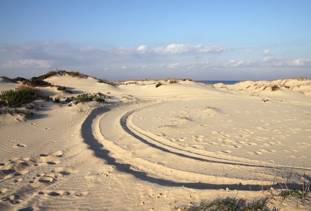 Dunes on the shore of the Mediterraneanの写真素材