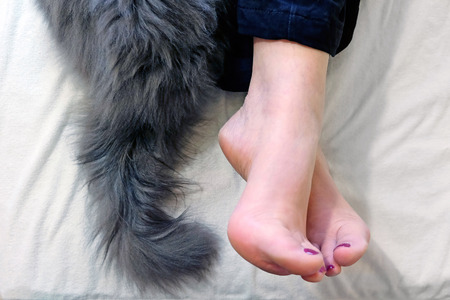 Relaxation. Crossed female legs and a fluffy tail cat on the white sheetsの写真素材