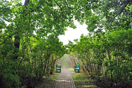 TARKHANI, RUSSIA - AUGUST 28, 2016: Alley and two benches in the State Lermontov Museum-Reserve...