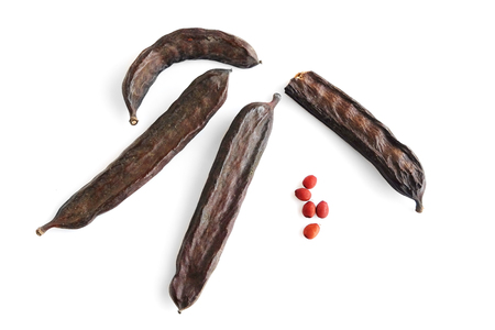 Pods and seeds of the carob tree on a white background. From seed was the name of measure caratの写真素材