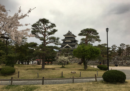 Matsumoto Castle in the national park of Matsumoto in Japanのeditorial素材