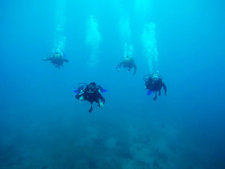 EILAT, ISRAEL - MAY 31, 2017:  Divers swim underwater over a coral reefのeditorial素材